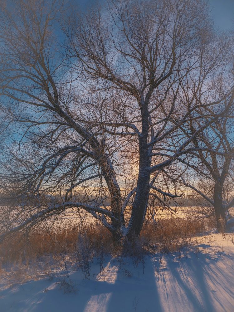 Photograph by Кирилл Сидоров