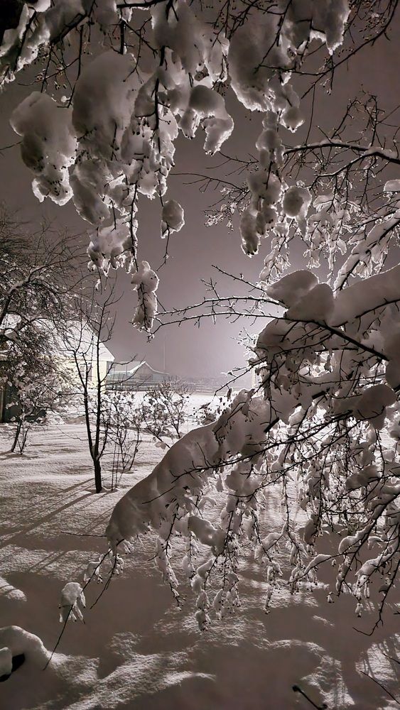 Photograph by Татьяна Устюжанина