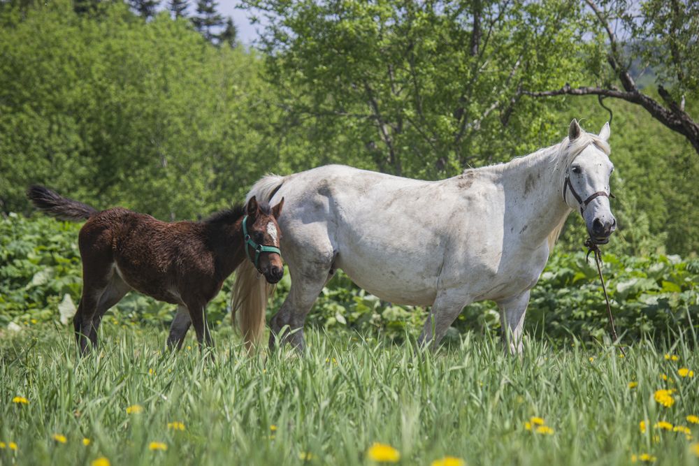 Фотография автора Наталья