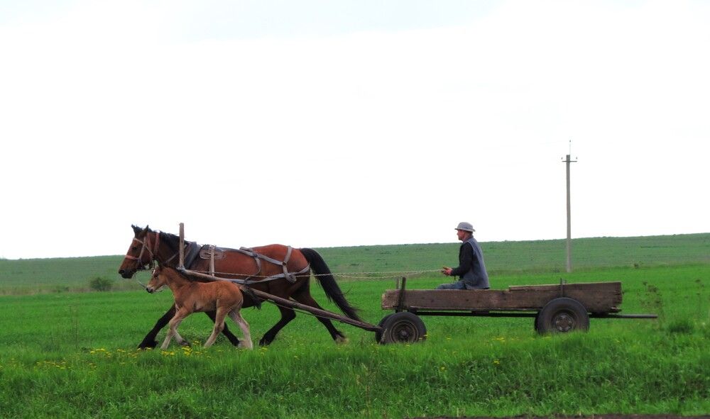 Photograph by Лариса Басова