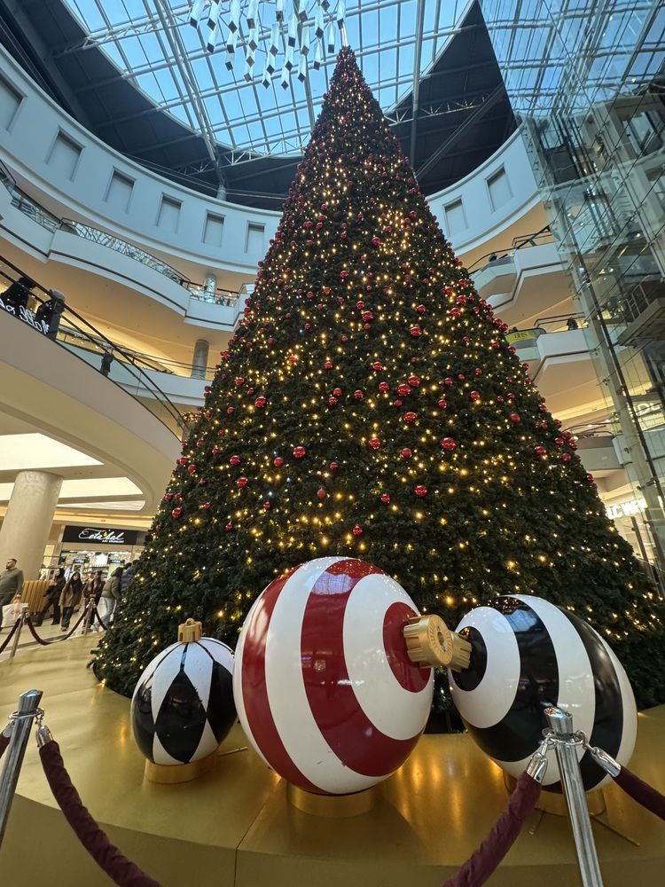 Фотография автора Büşra Bekar