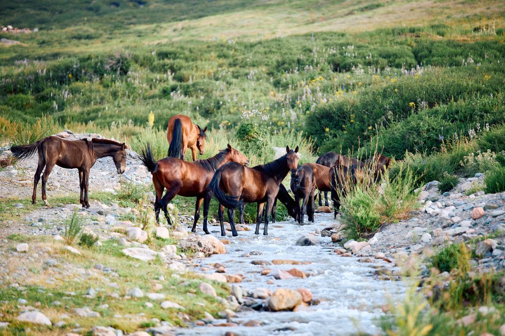 Photograph by Константин Федяев