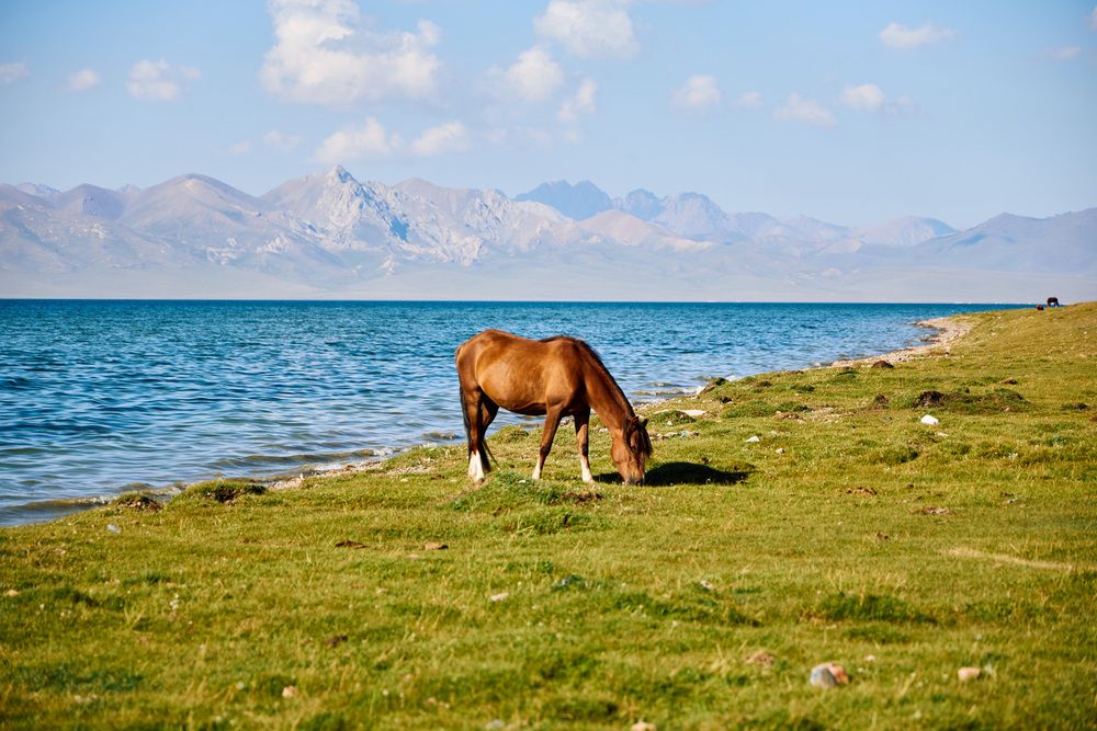 Photograph by Константин Федяев