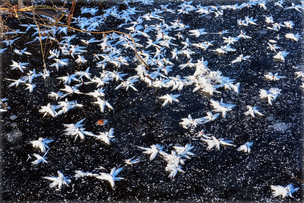 Звёздный лёд.