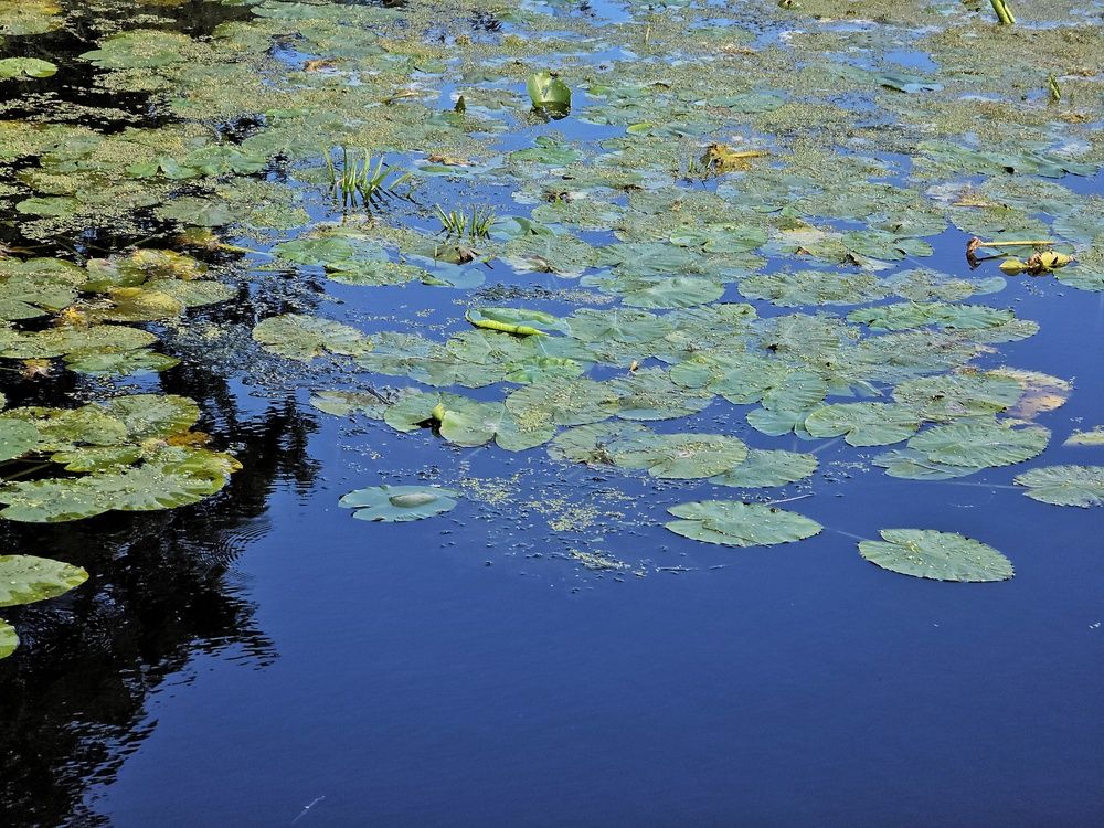 Photograph by Наталья Трофимова