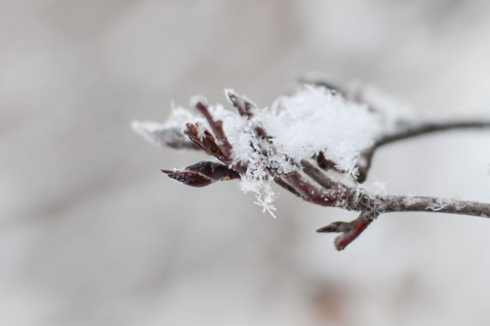 Photograph by Oxana Ukhlina