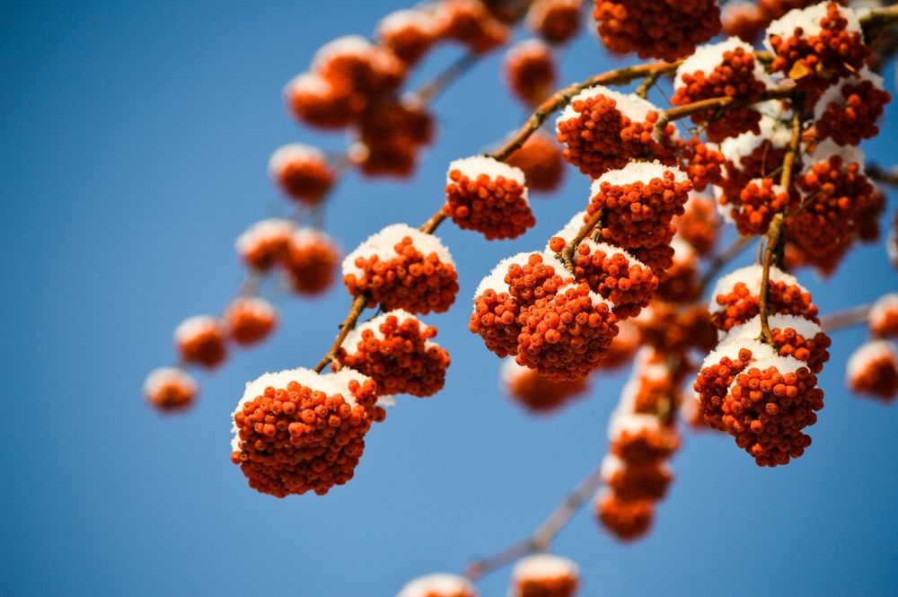 Photograph by Oxana Ukhlina