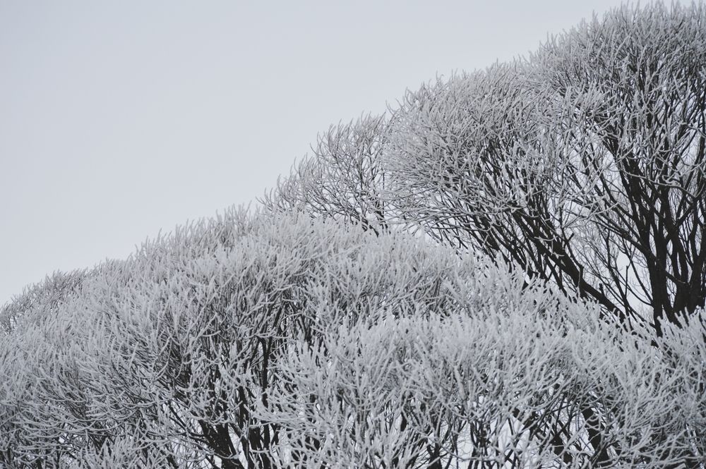 Photograph by Oxana Ukhlina