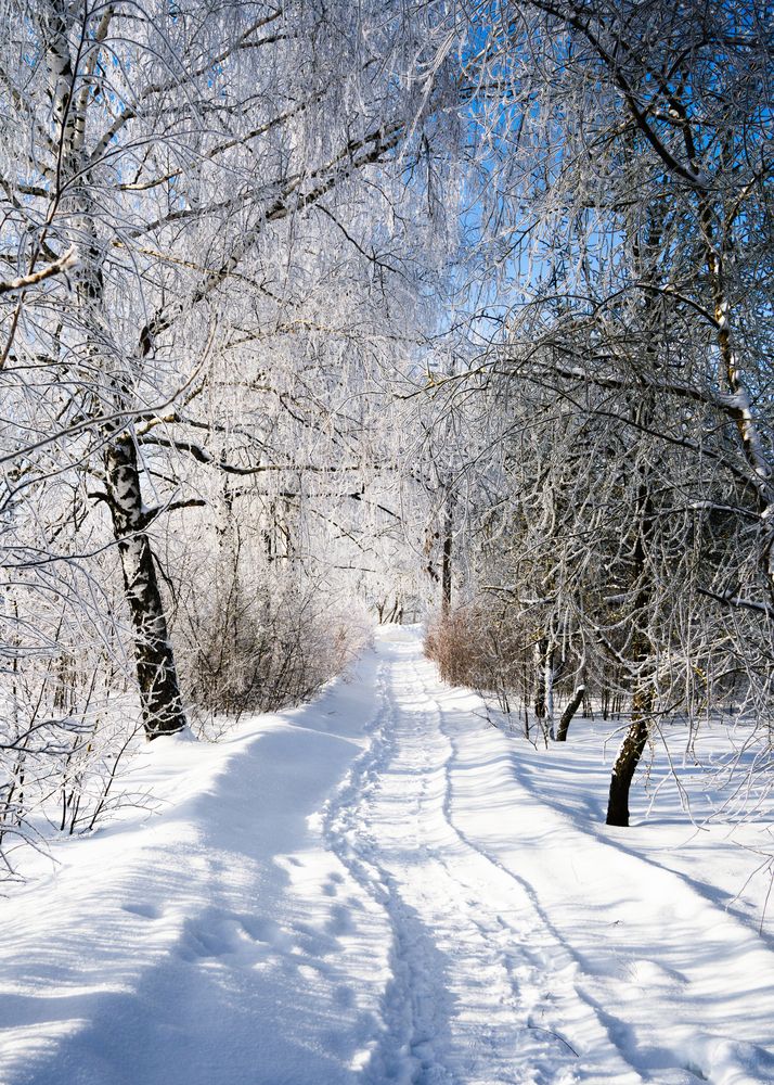 Photograph by Иван Мосьянов