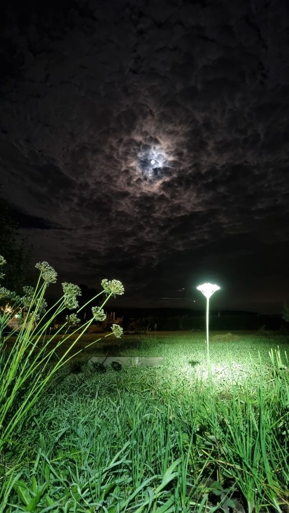 Photograph by Татьяна Устюжанина