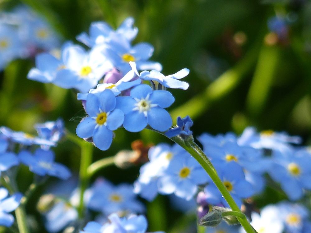 Photograph by Isabella Northrop