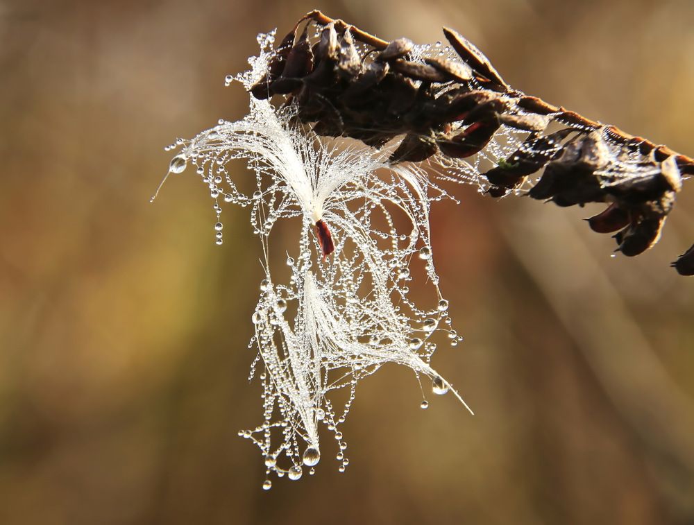 Фотография автора Сергей Кульков