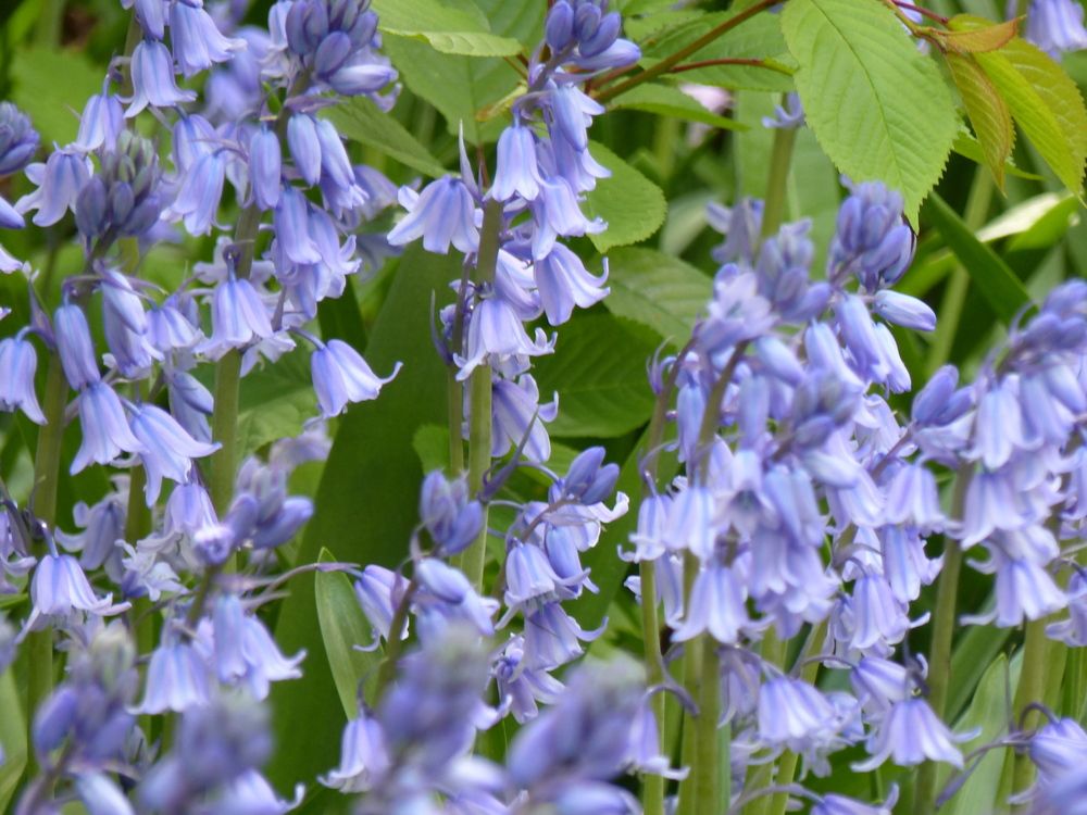 Photograph by Isabella Northrop