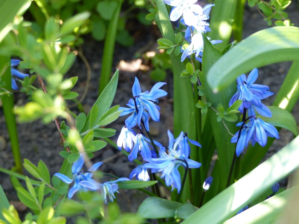 Photograph by Isabella Northrop