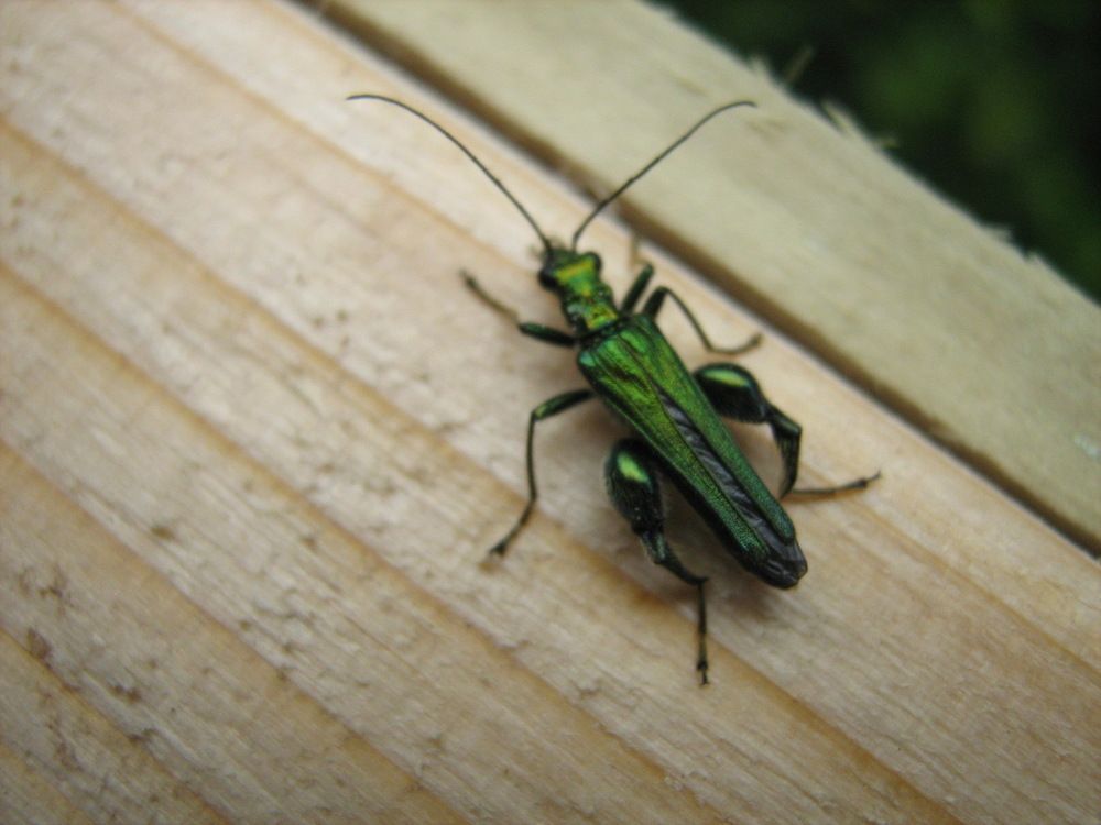 Photograph by Isabella Northrop