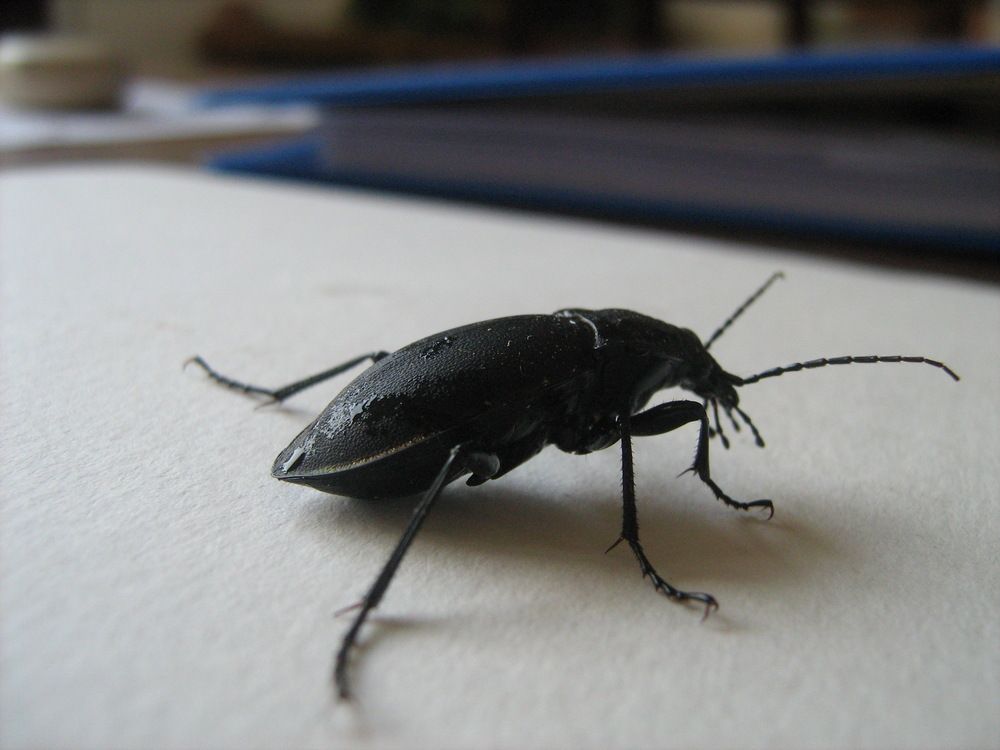 Photograph by Isabella Northrop