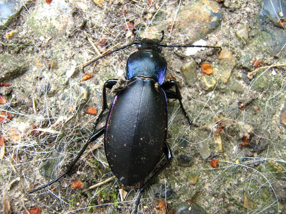 Photograph by Isabella Northrop