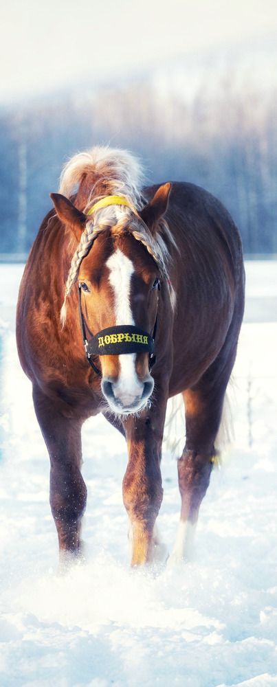 Photograph by Татьяна