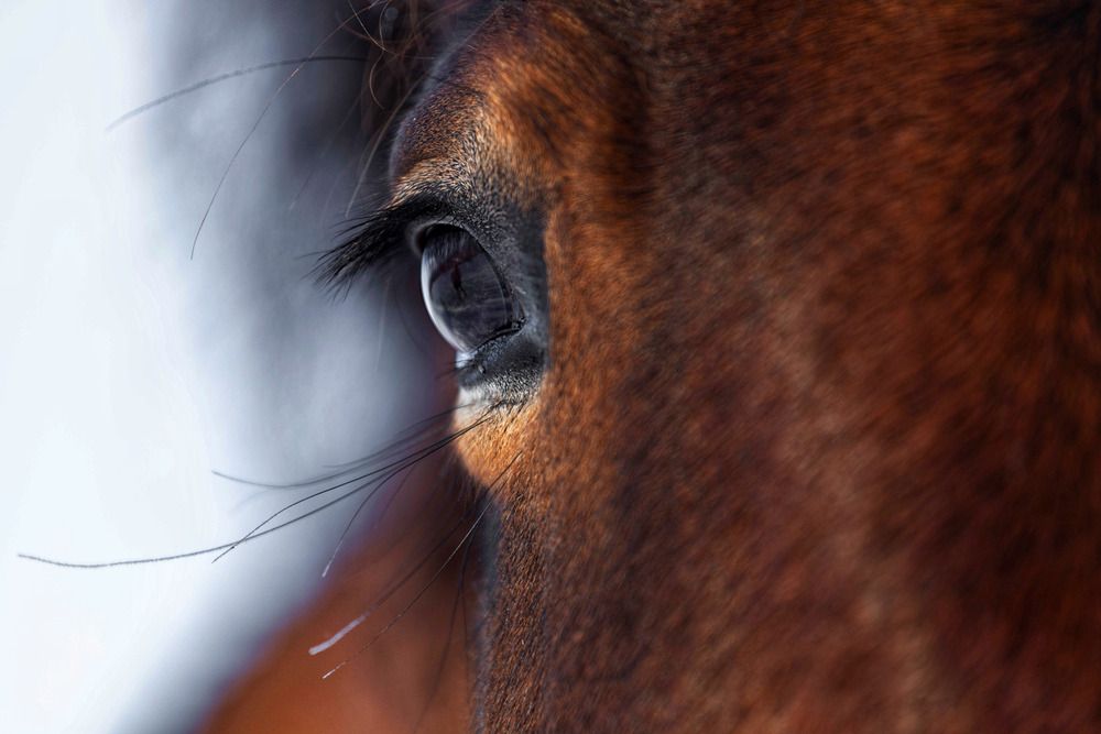 Photograph by Татьяна