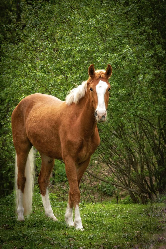 Photograph by Татьяна