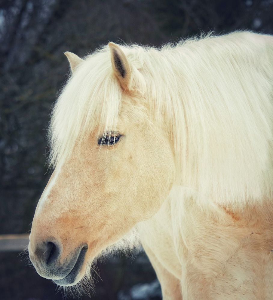 Photograph by Татьяна