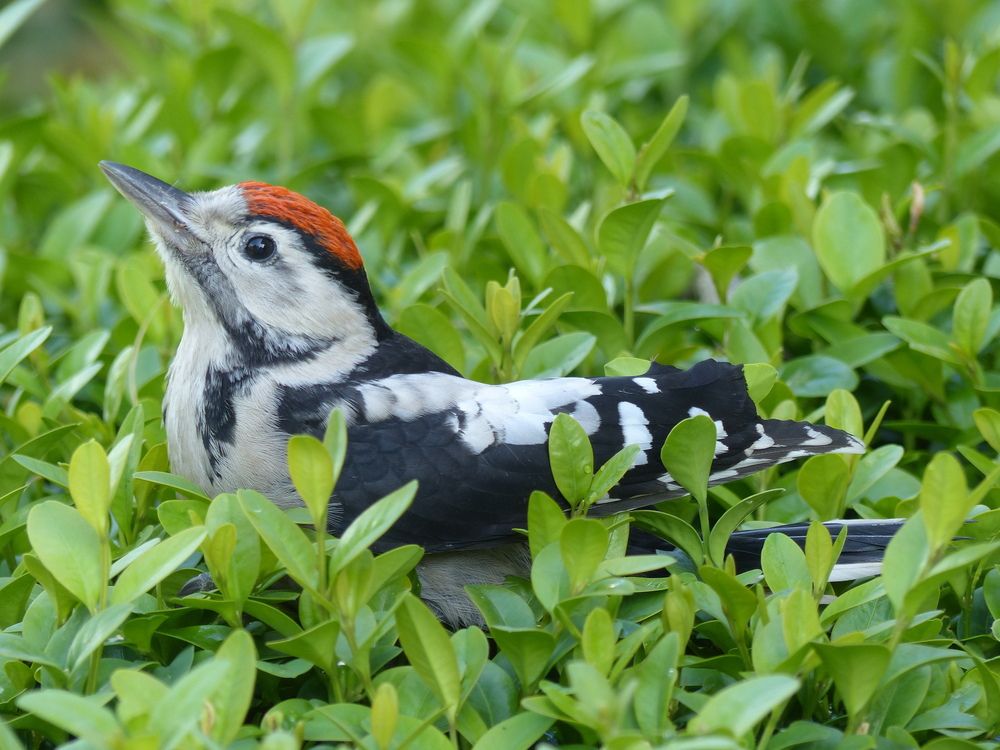 Photograph by Isabella Northrop