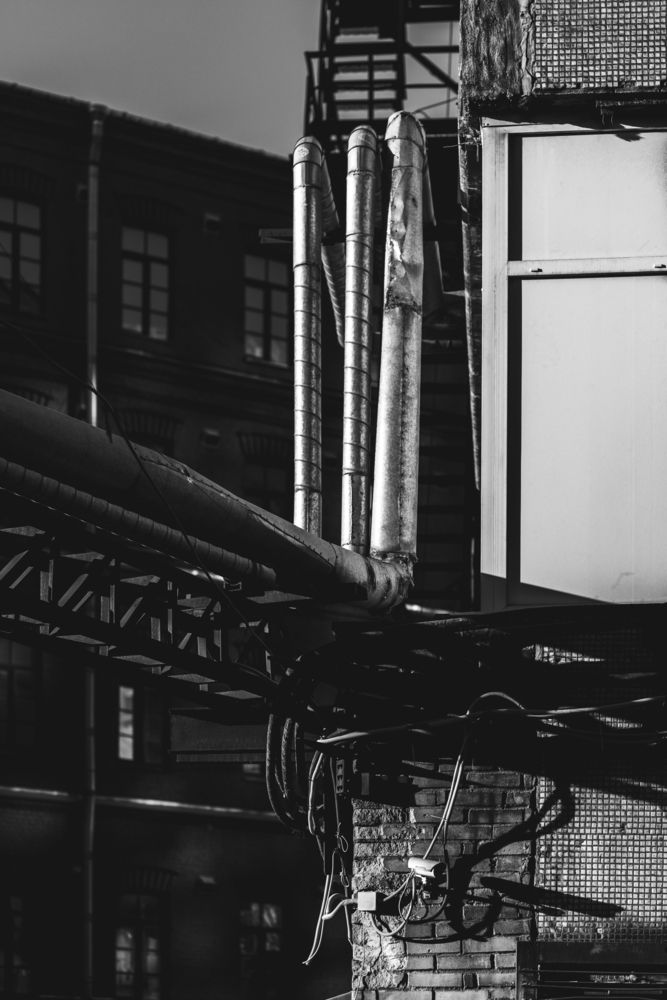 Photograph by Елизавета Чечевица