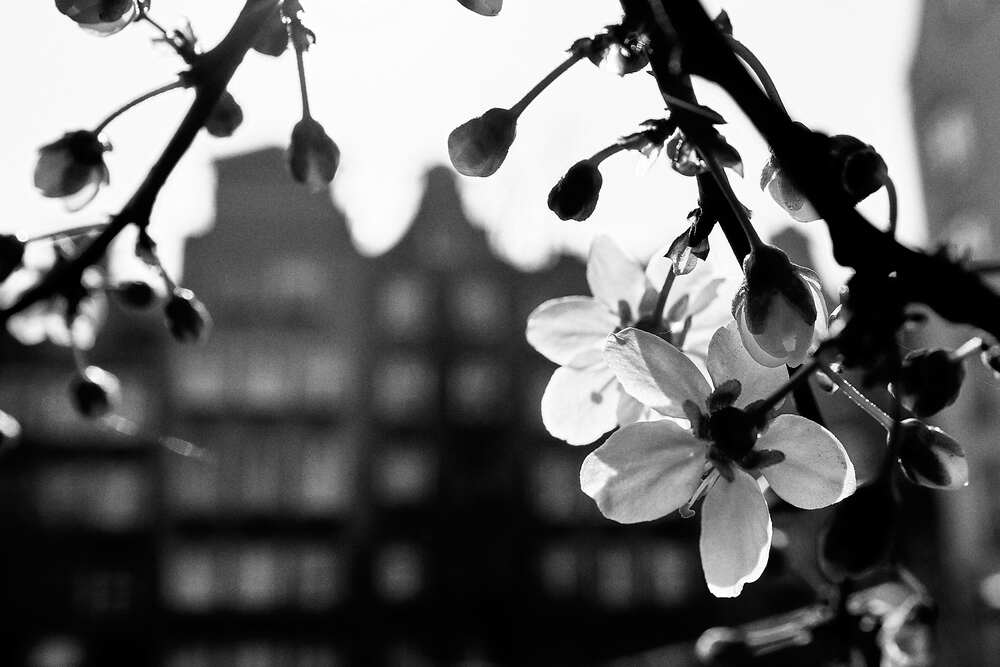 Photograph by Valentin Korotky-Adamenko