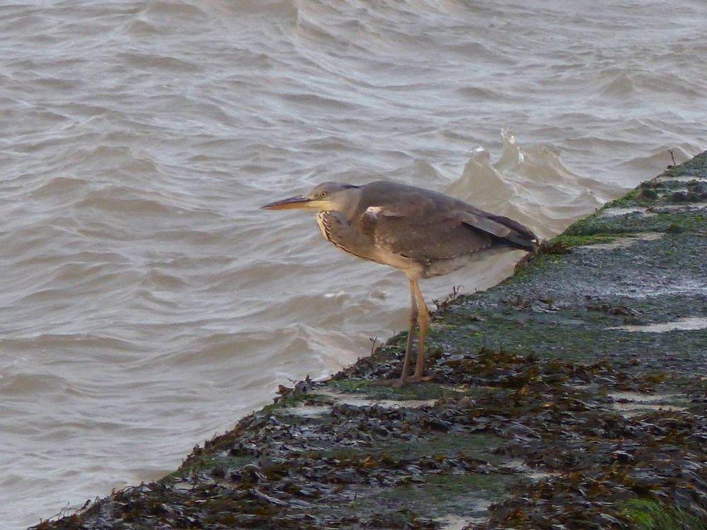 Photograph by Isabella Northrop