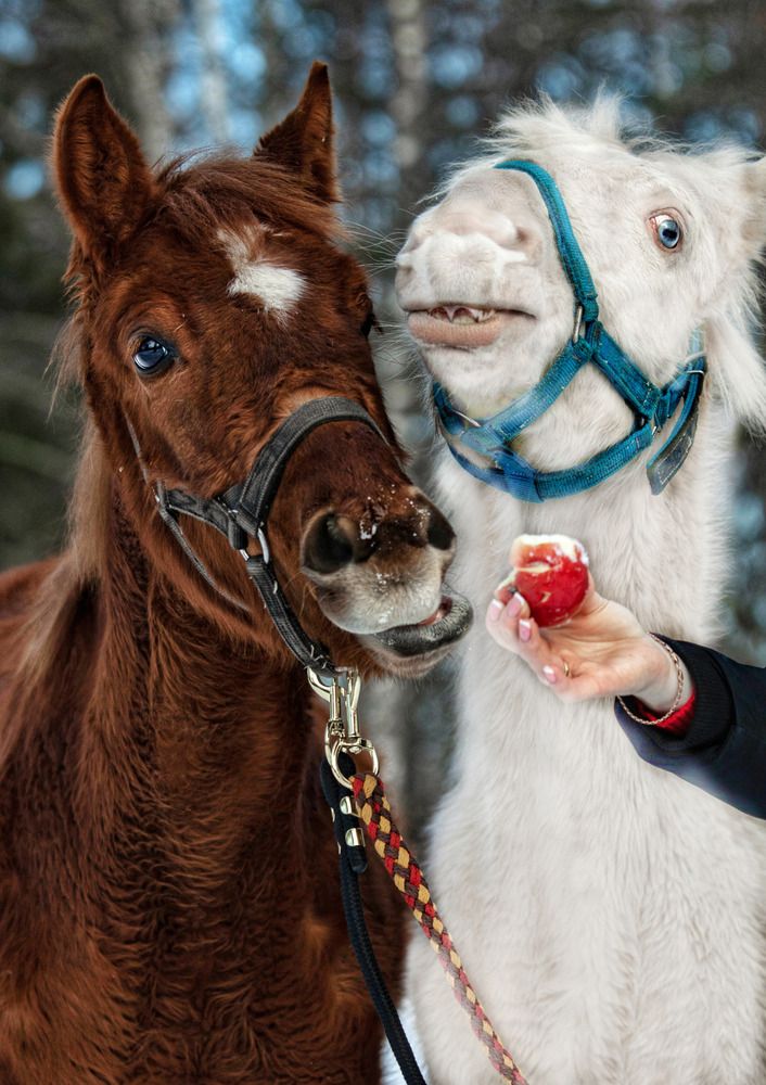 Photograph by Татьяна