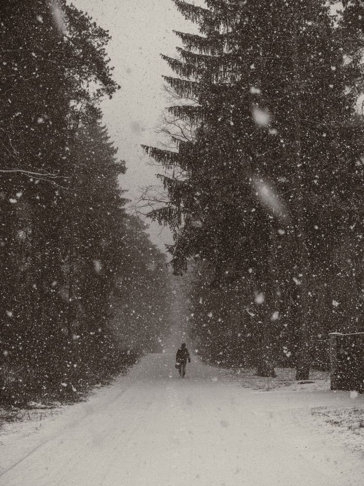 Photograph by Maksim Yuryshev