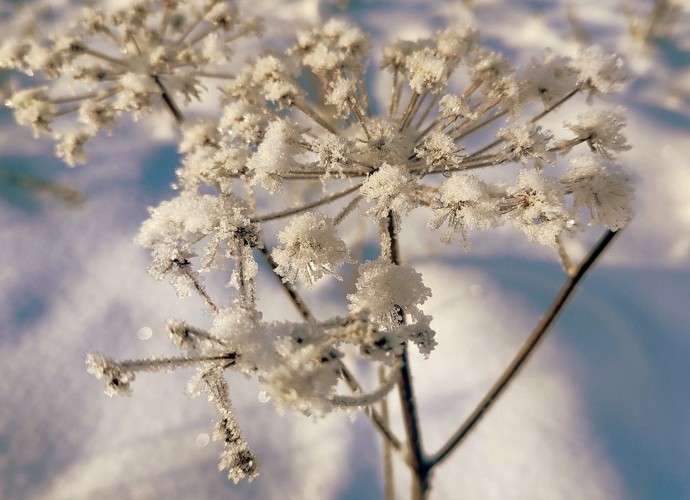 Фотография автора Вадим Лабитов