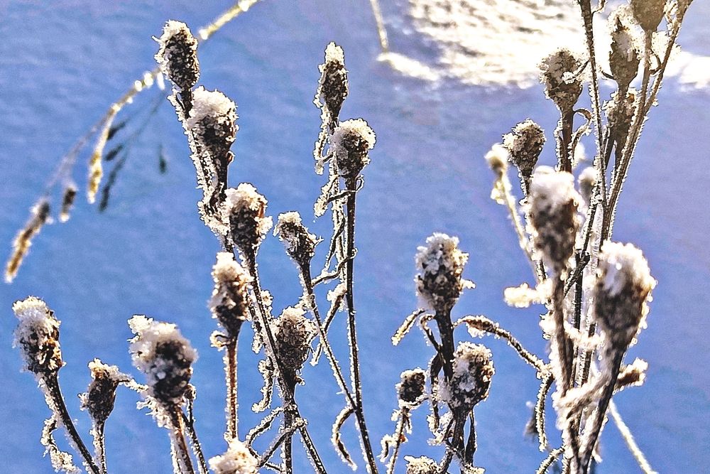Фотография автора Вадим Лабитов