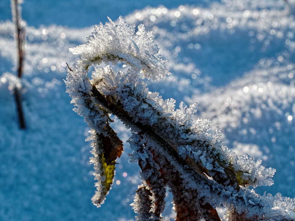 Photograph by Павел Кулинич