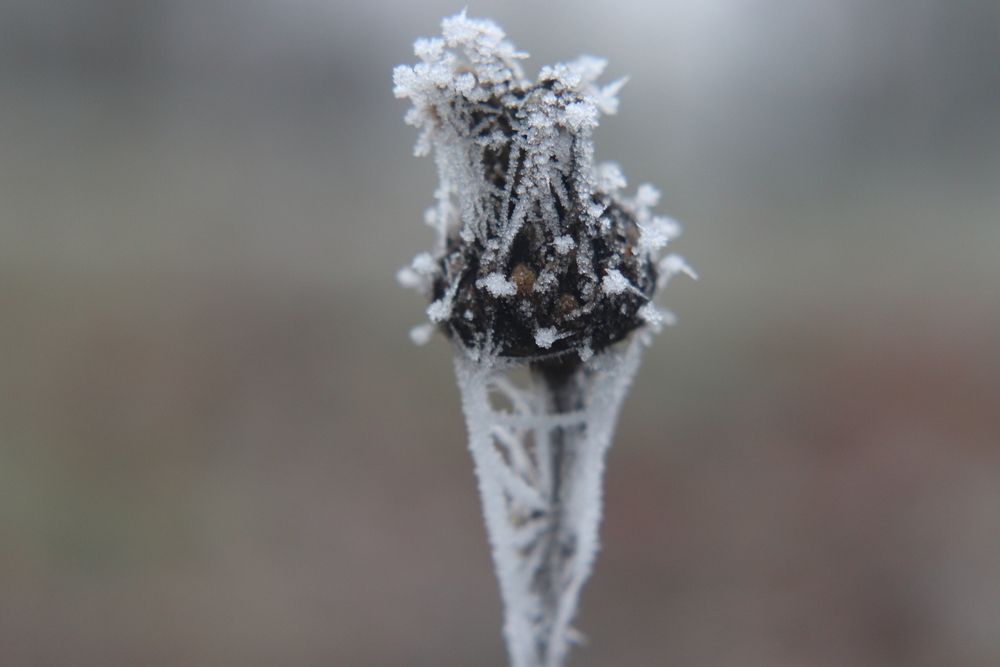 Фотография автора Анастасия Богдан