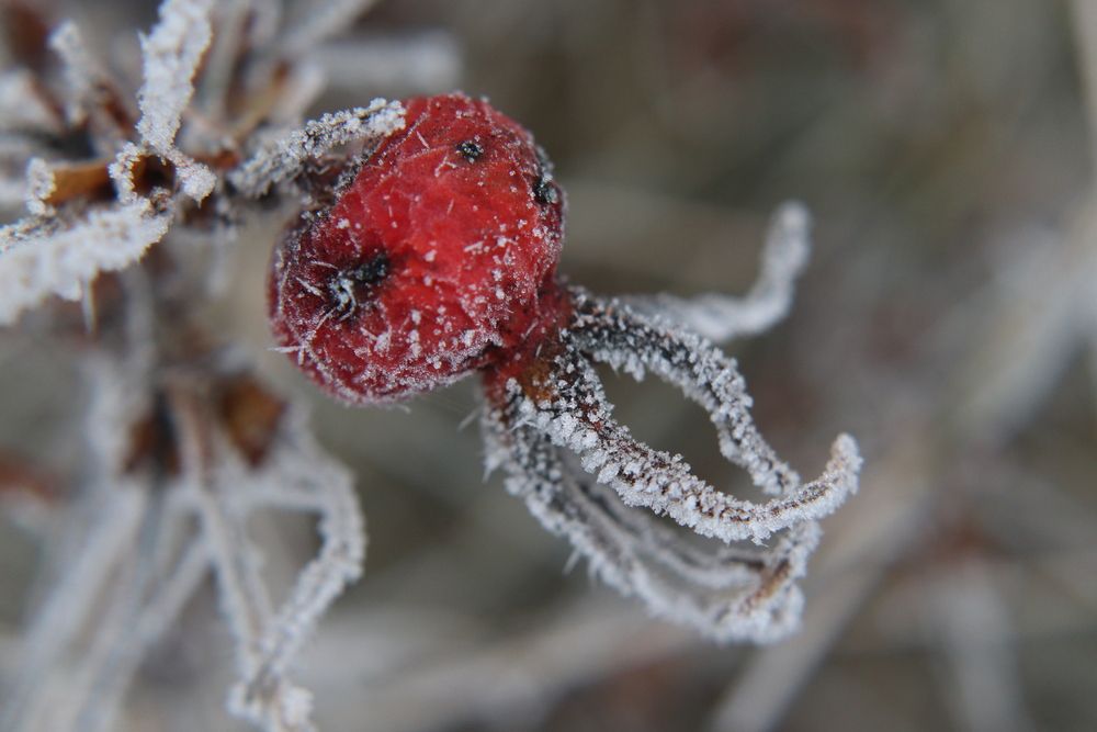 Фотография автора Анастасия Богдан