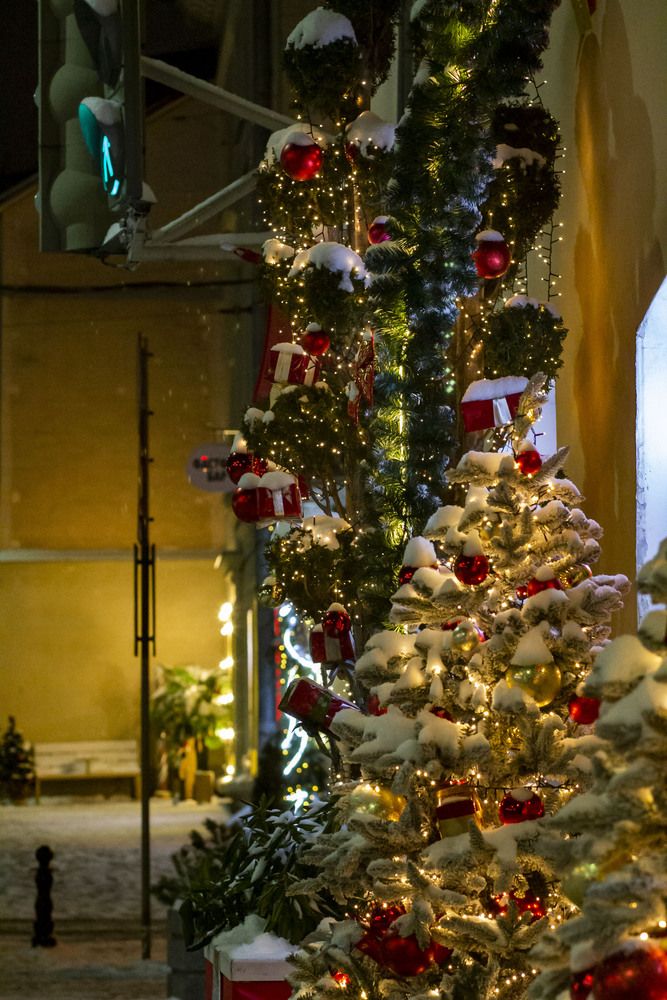 Photograph by Майя Чехова