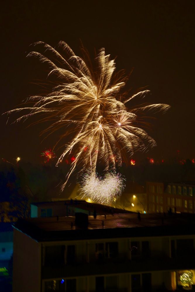 Photograph by Alena T