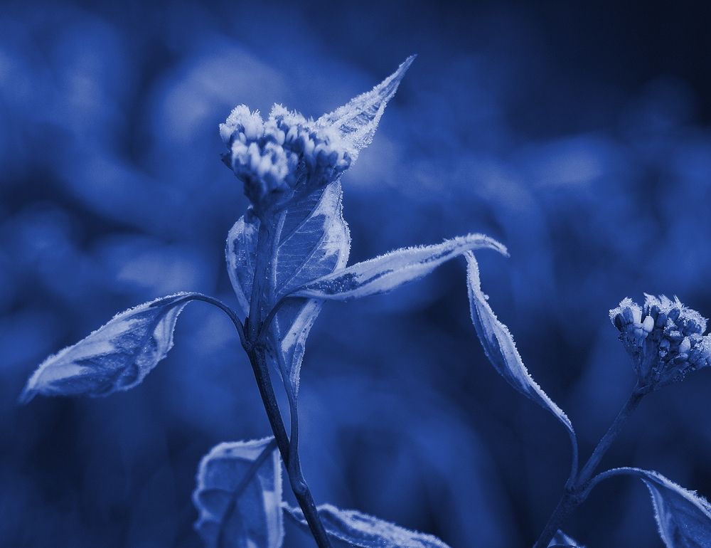 Photograph by Светлана Логинова