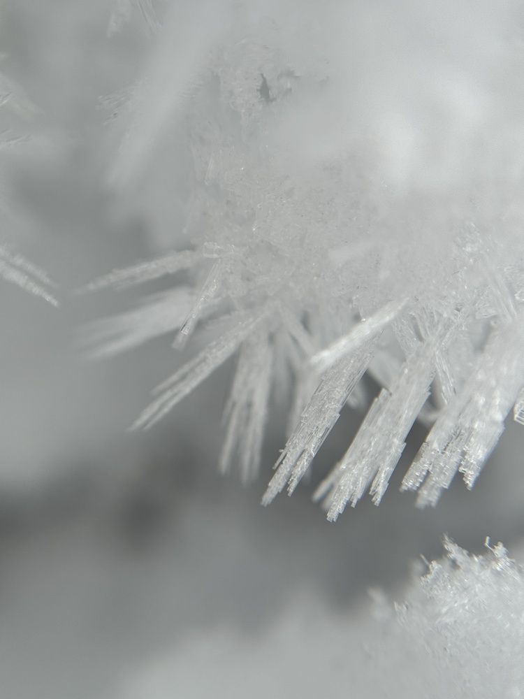 Photograph by Елена Гребенюк