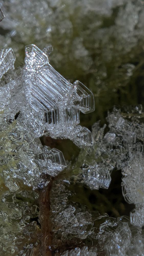 Photograph by Iryna Usanova