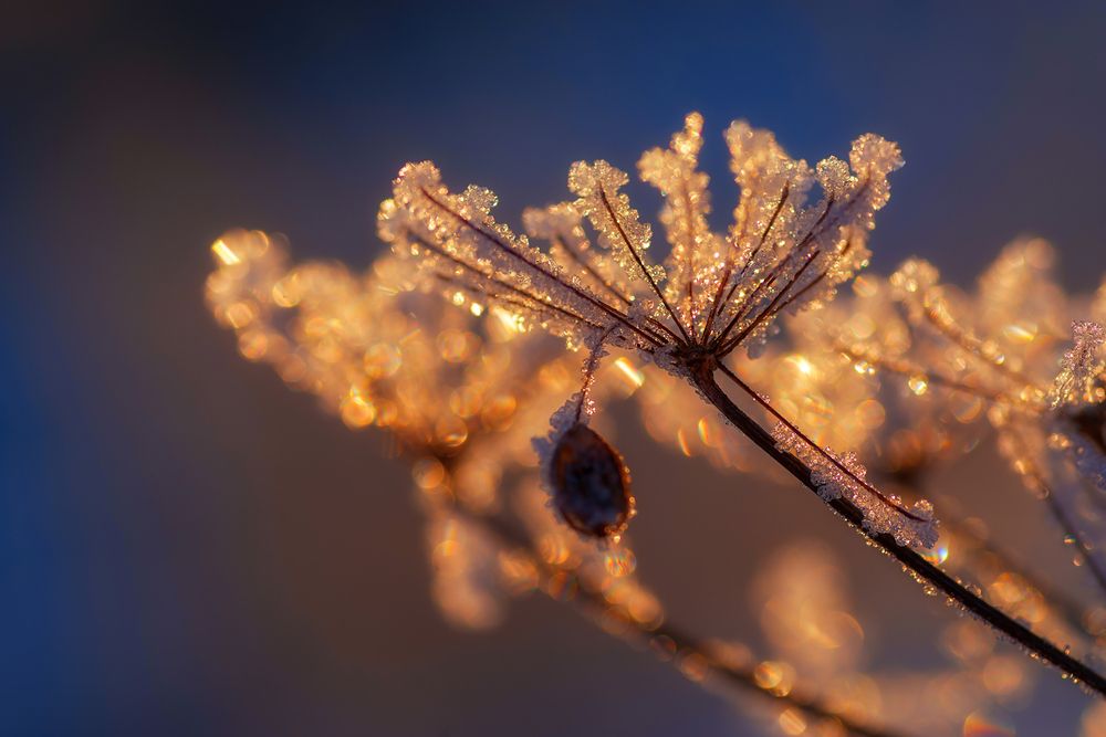 Photograph by Марина Мурашова