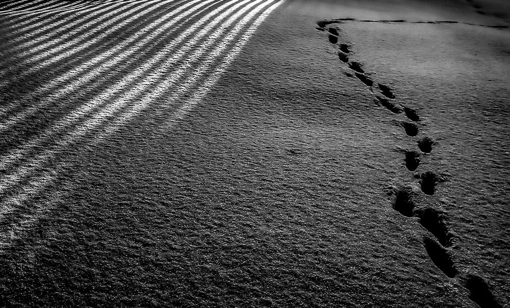 Photograph by Алёна Пшеленская