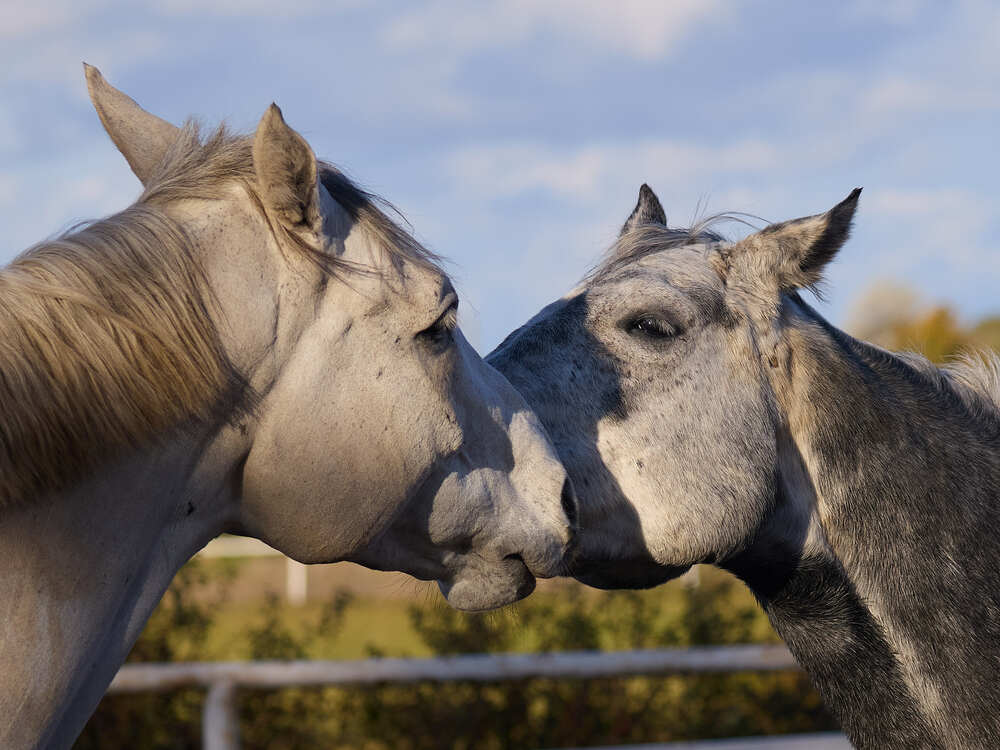 Photograph by Valentin Korotky-Adamenko
