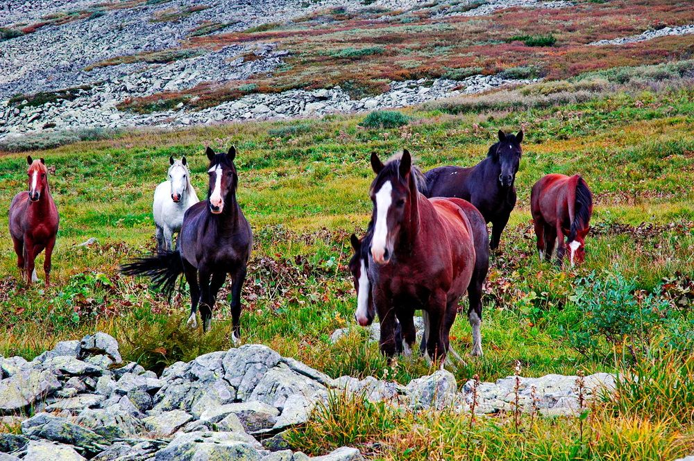 Photograph by Сергей Тимофеев