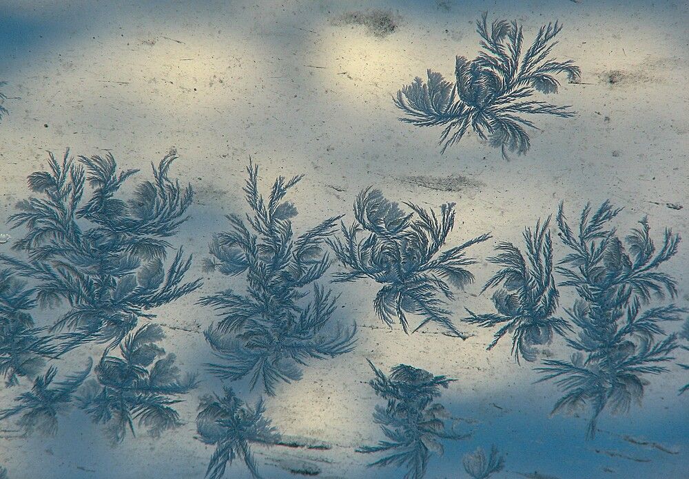 Photograph by Владимир Малёшин