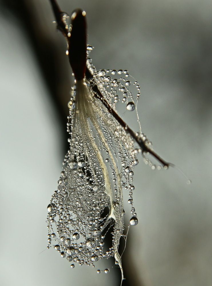 Фотография автора Сергей Кульков