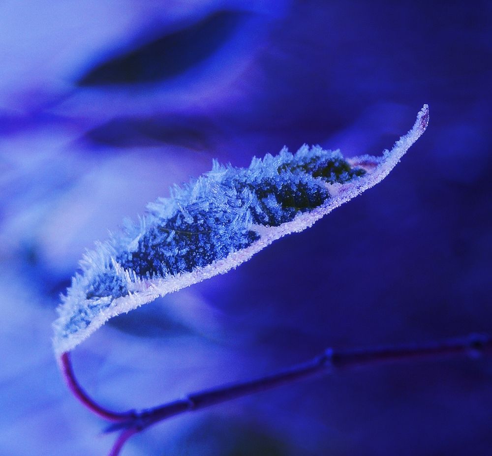 Photograph by Светлана Логинова