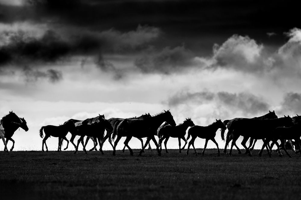 Photograph by Василий Шумкин