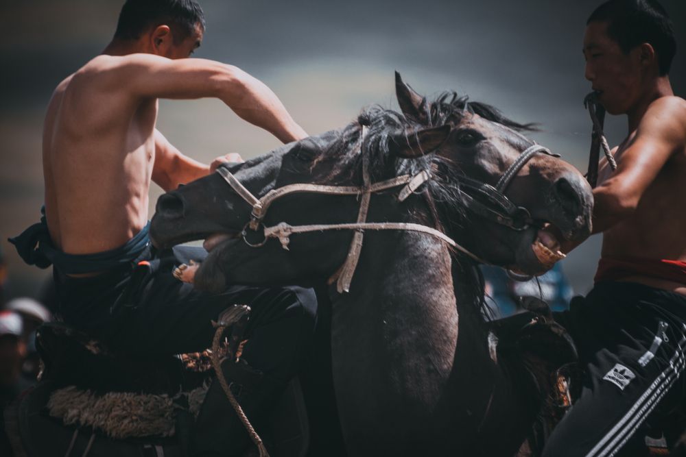 Photograph by Василий Шумкин